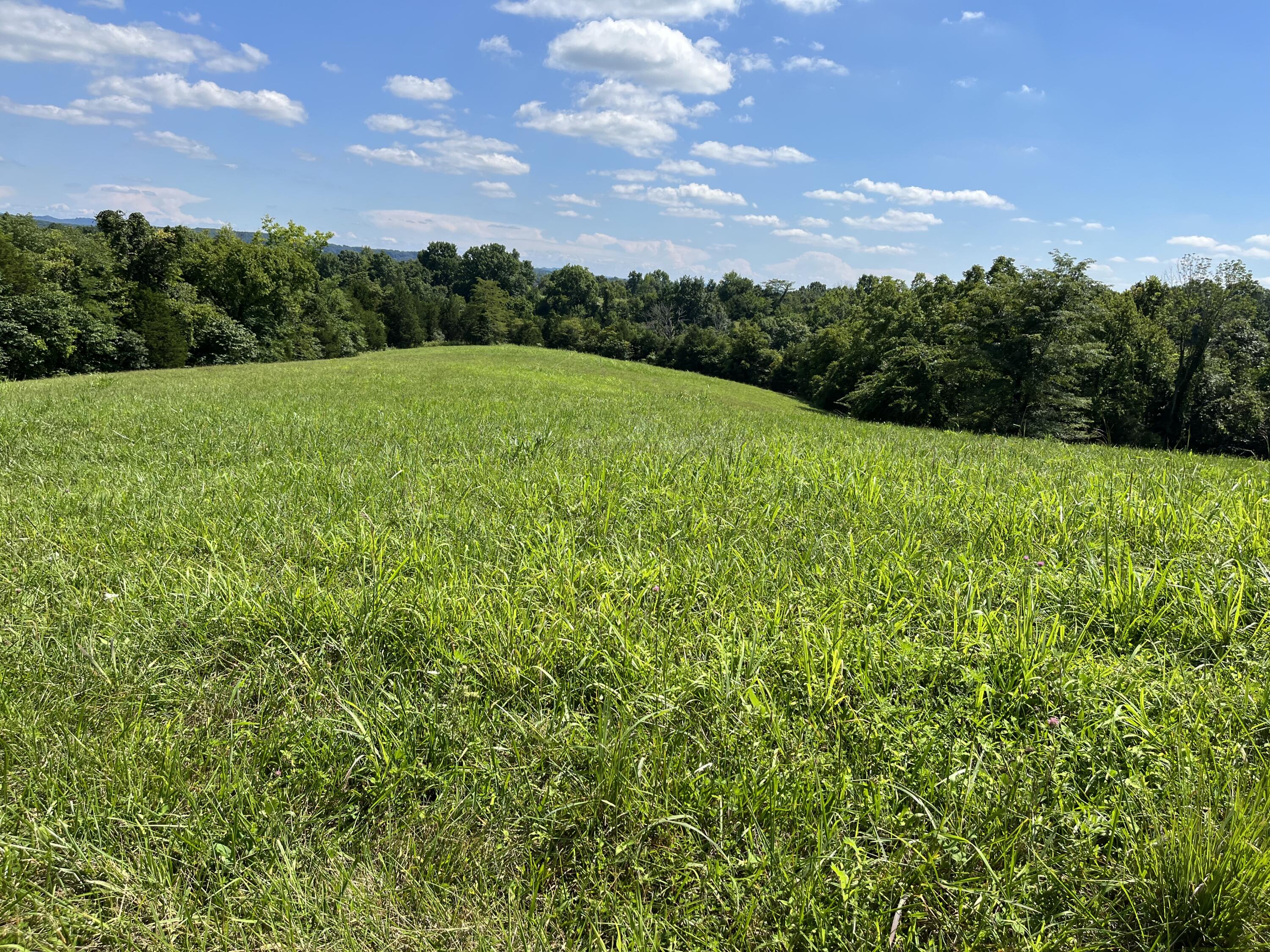 9999 Sugar Grove Road Owingsville, KY 40360 - Photo 6 of 13 E484F0AC-AD78-4301-8E40-FEAD0A596AF2