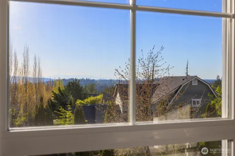 a view of a small yard from a window
