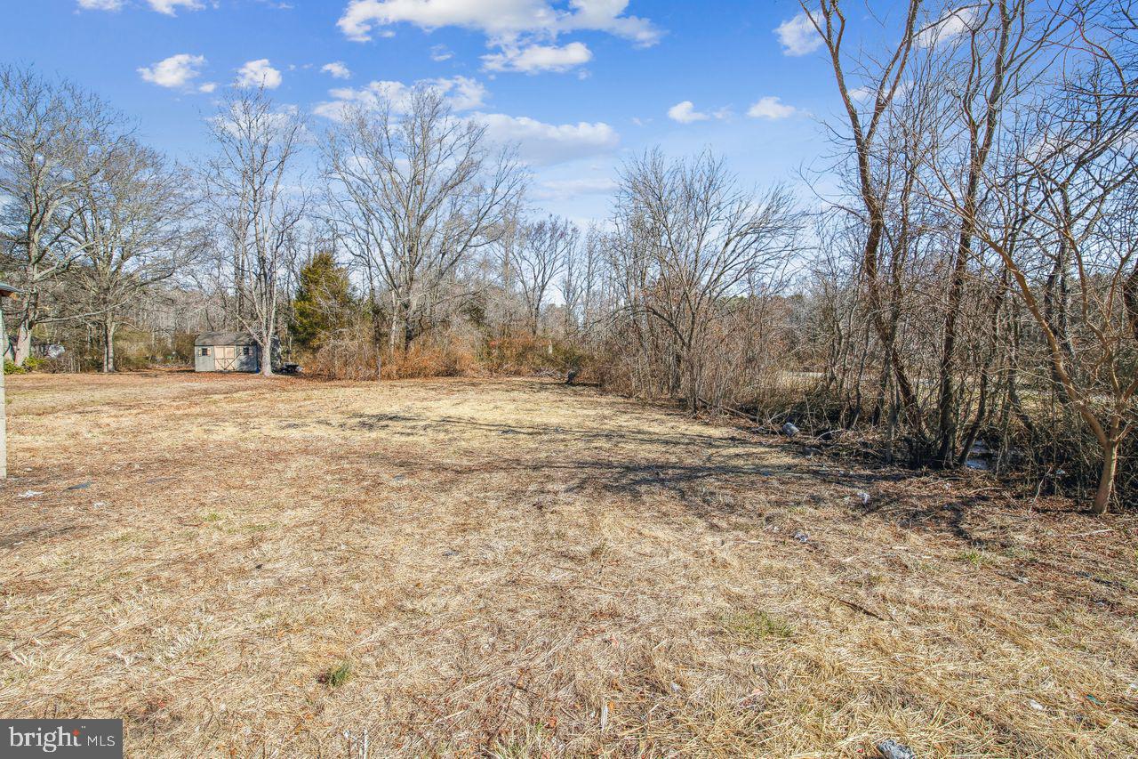 4912 Ocean Gateway Vienna, MD 21869 - Photo 35 of 35 a view of dirt yard with a large tree