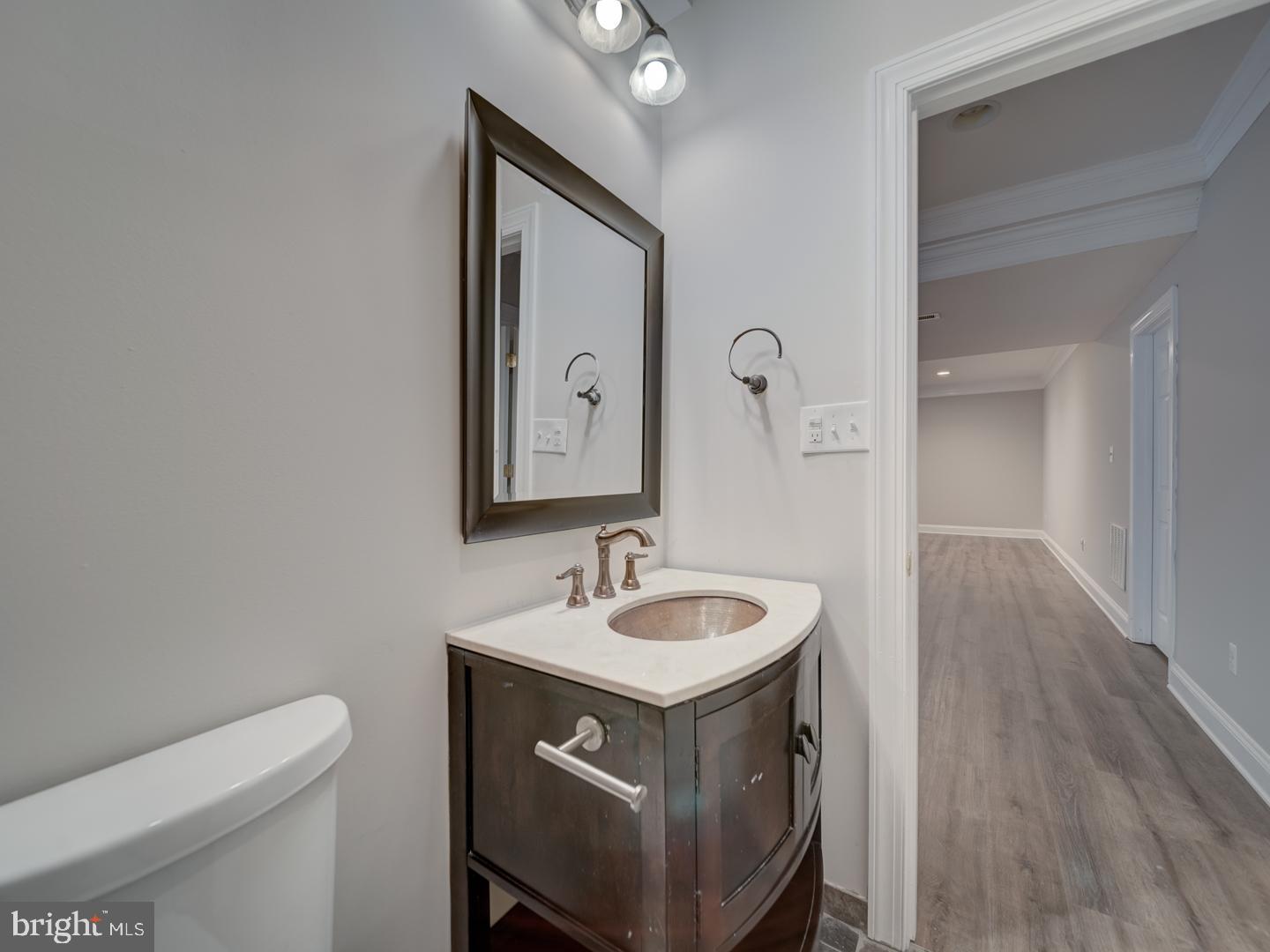 8429 Link Hills Loop Gainesville, VA 20155 - Photo 99 of 102 a bathroom with a sink and a toilet