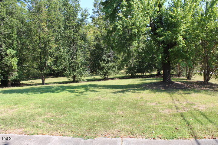 5700 Barbee Road Durham, NC 27713 - Photo 8 of 14 Right of driveway