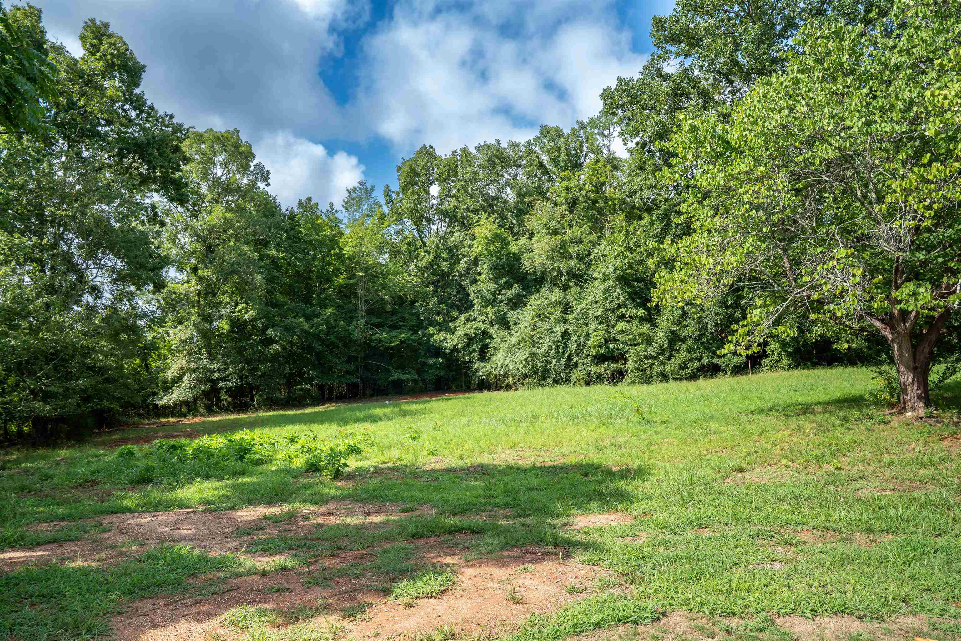 550 Landrum Mill Road Landrum, SC 29356 - Photo 34 of 41 Gallery Image 34