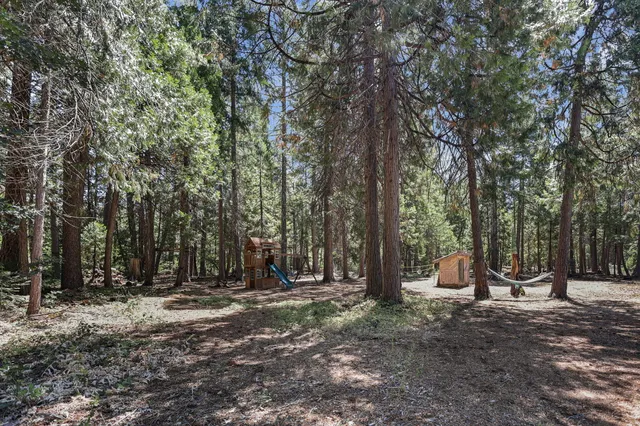 a front view of a house with a yard and trees