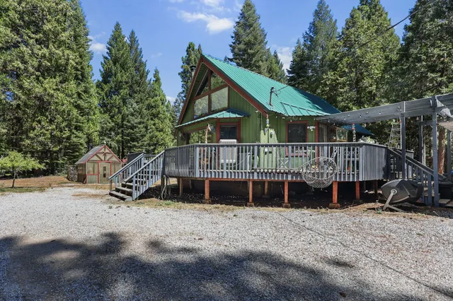 a picture of flowers