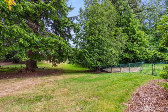 a view of a yard with a tree