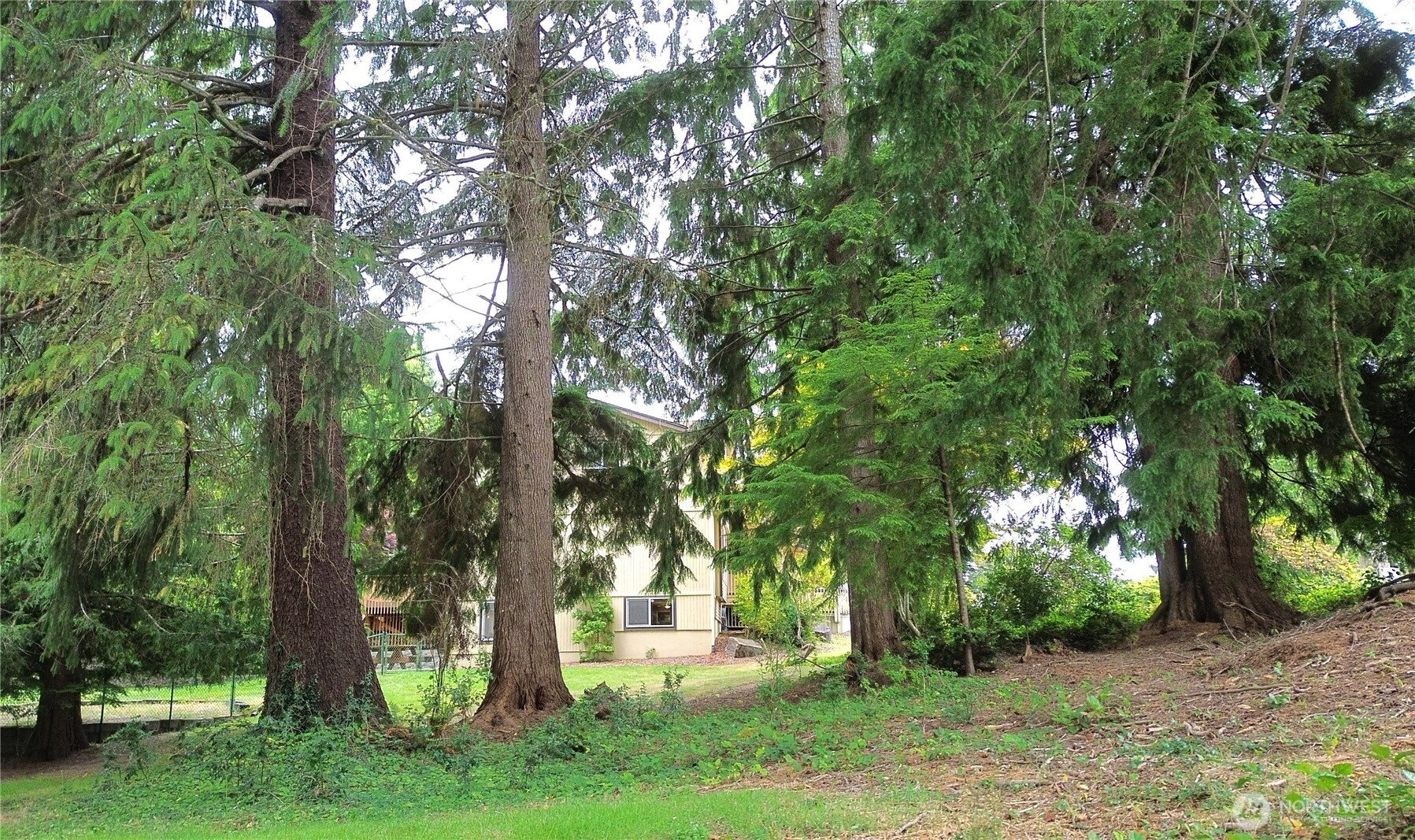 711 Purkey Avenue Aberdeen, WA 98520 - Photo 37 of 39
