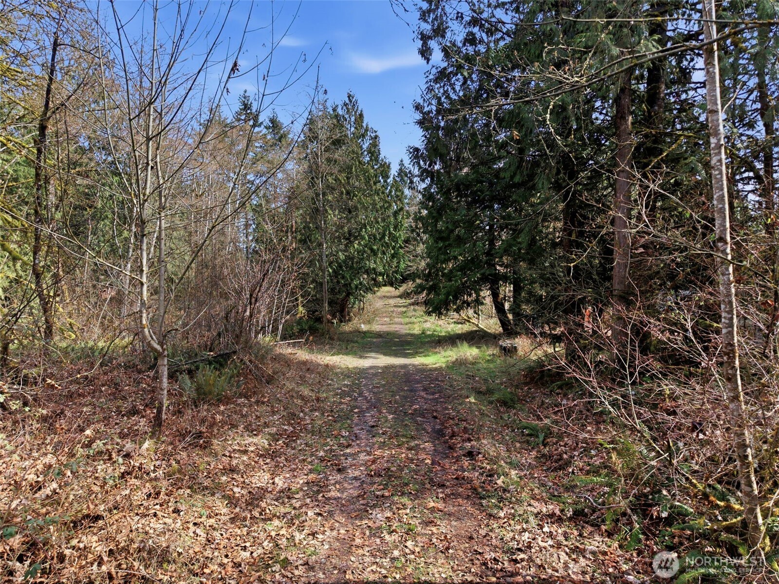 -xxx South Prairie Road Napavine, WA 98532 - Photo 9 of 11 a view of backyard with green space