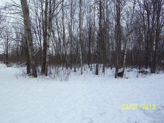 5215 Ridge Trail North Clarkston, MI 48348 - Photo 3 of 12 110_1584.jpg