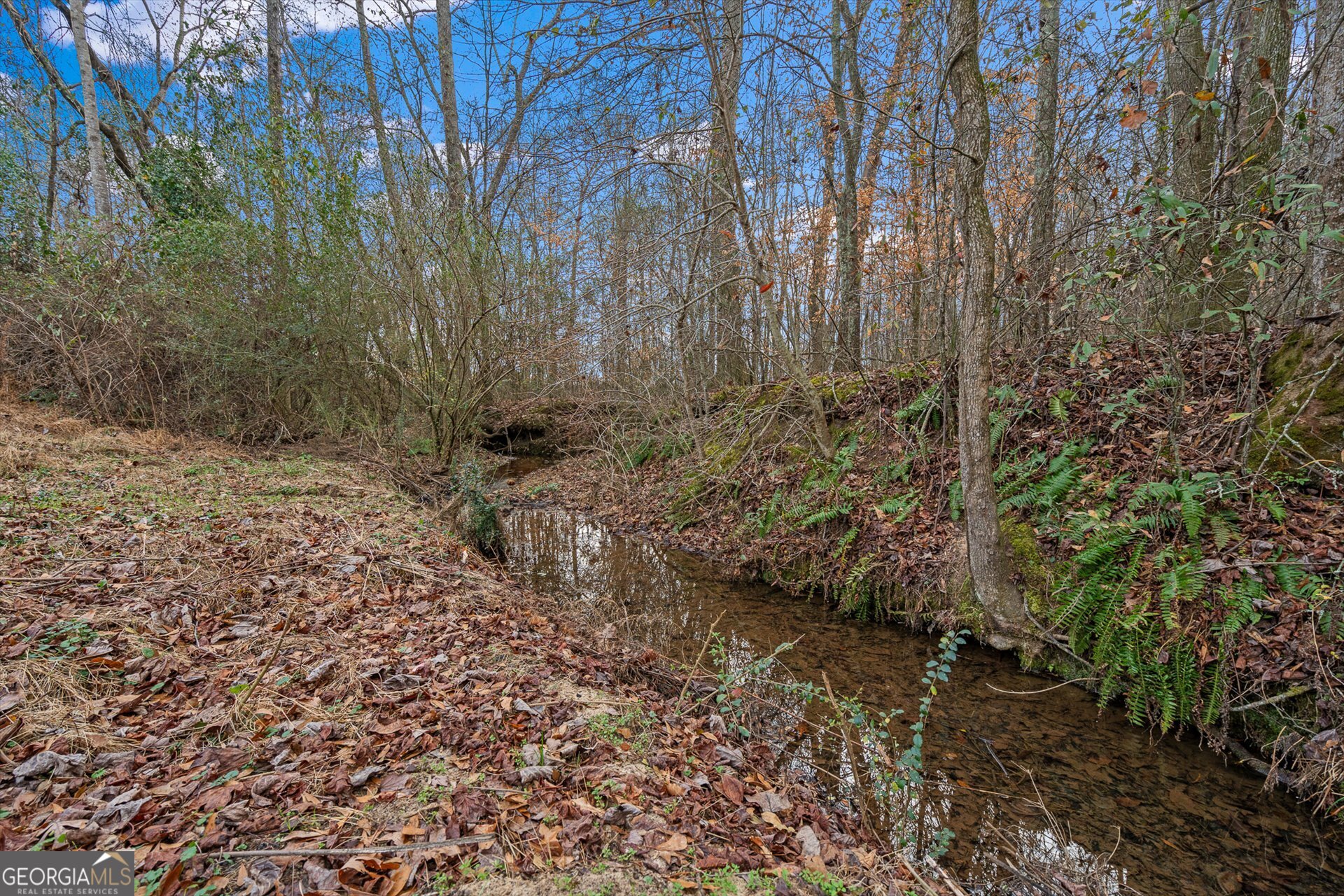 976 Salem Church Road Carrollton, GA 30117 - Photo 62 of 79