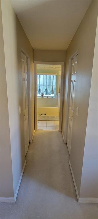 17076 Southeast 115th Terrace Road Summerfield, FL 34491 - Photo 31 of 55