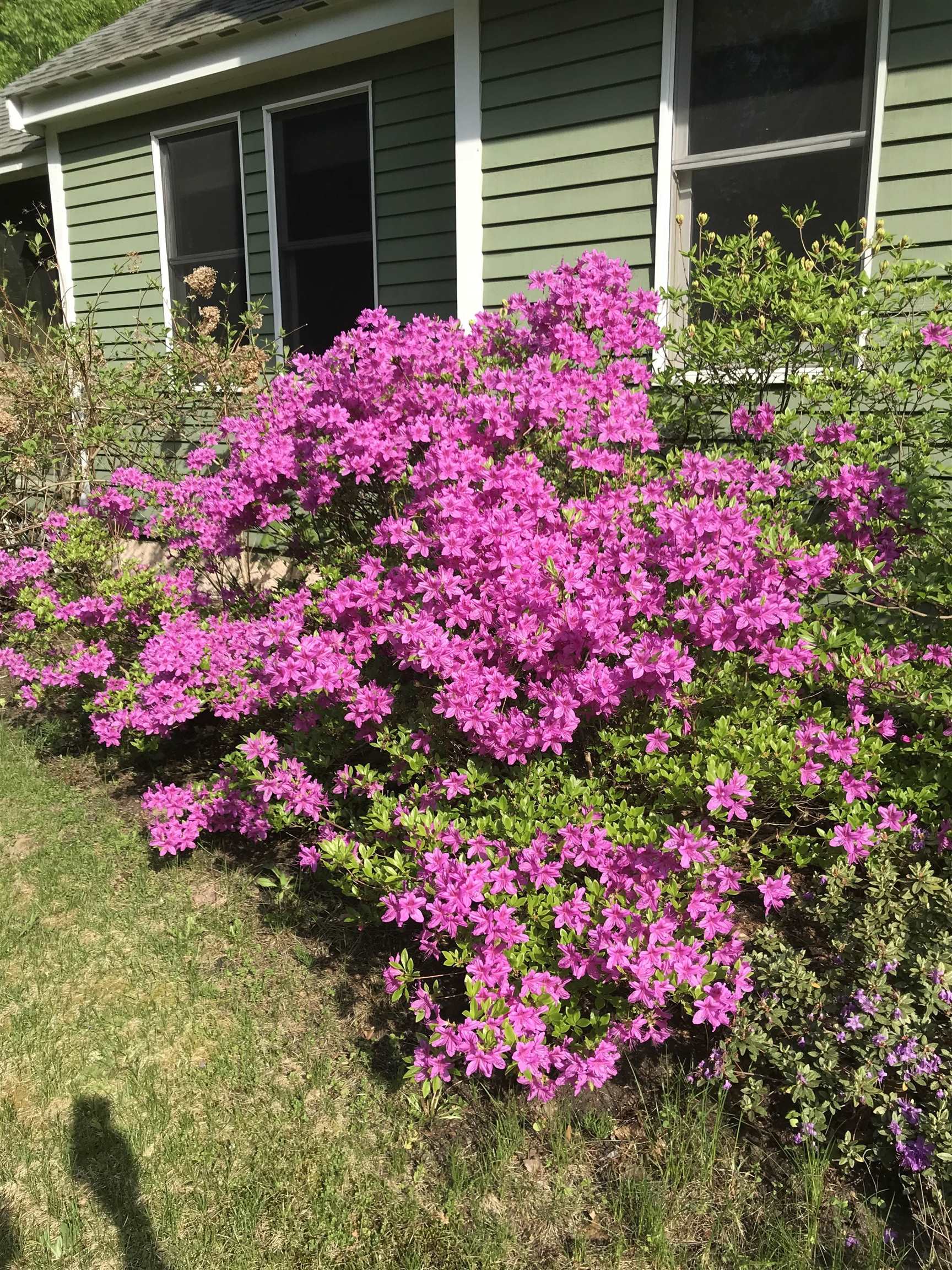 147 Ham Woods Road Alton, NH 03809 - Photo 47 of 60