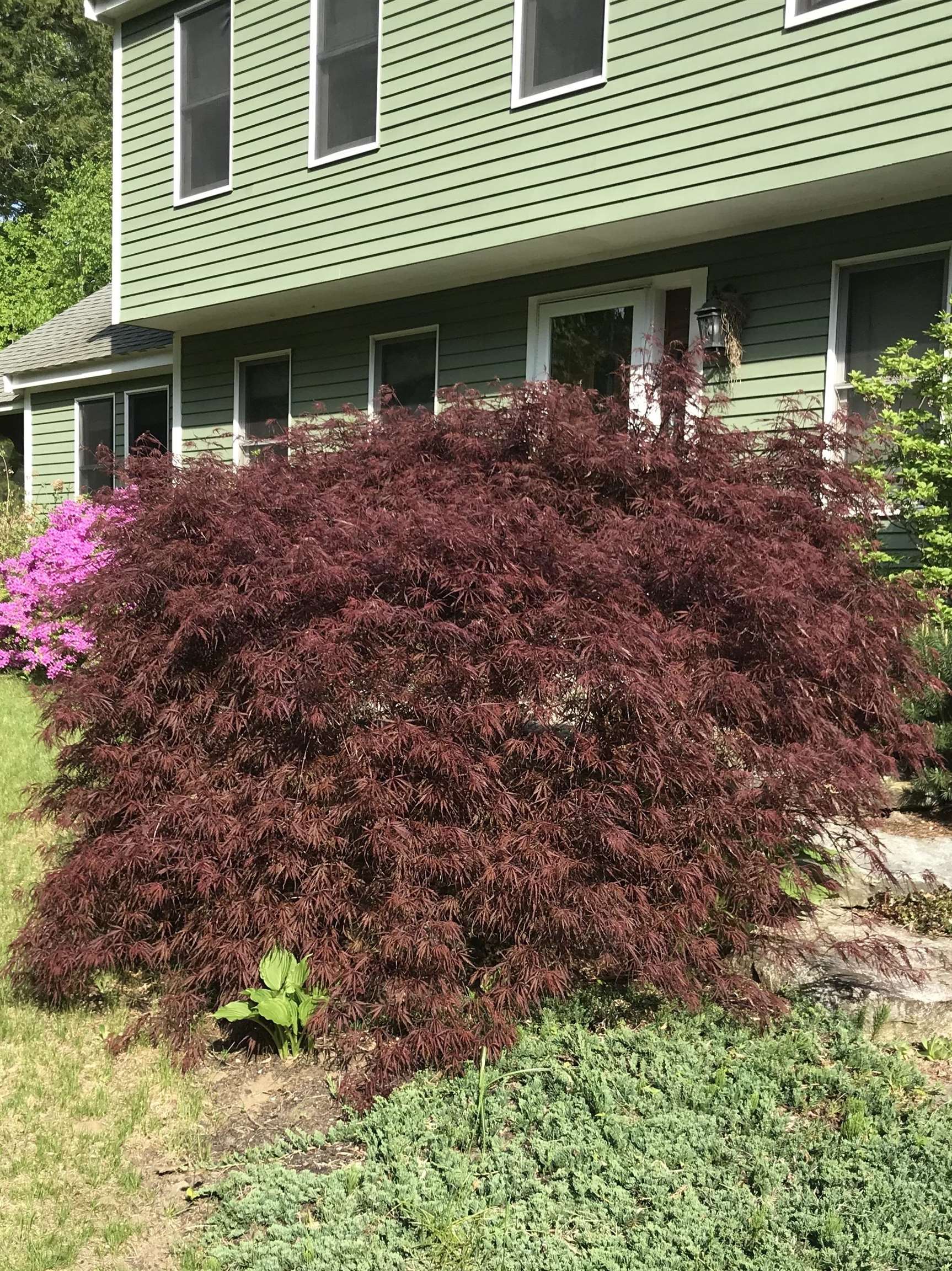 147 Ham Woods Road Alton, NH 03809 - Photo 48 of 60