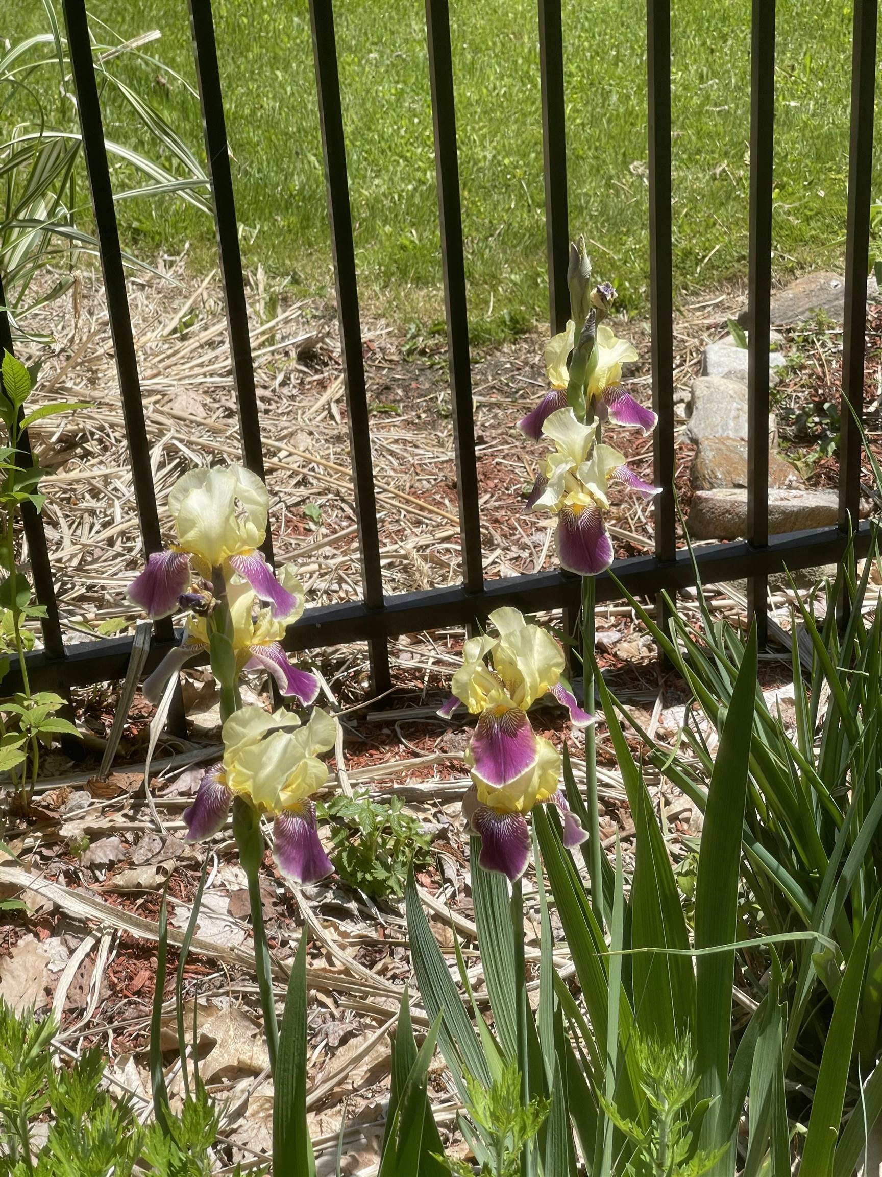 147 Ham Woods Road Alton, NH 03809 - Photo 50 of 60