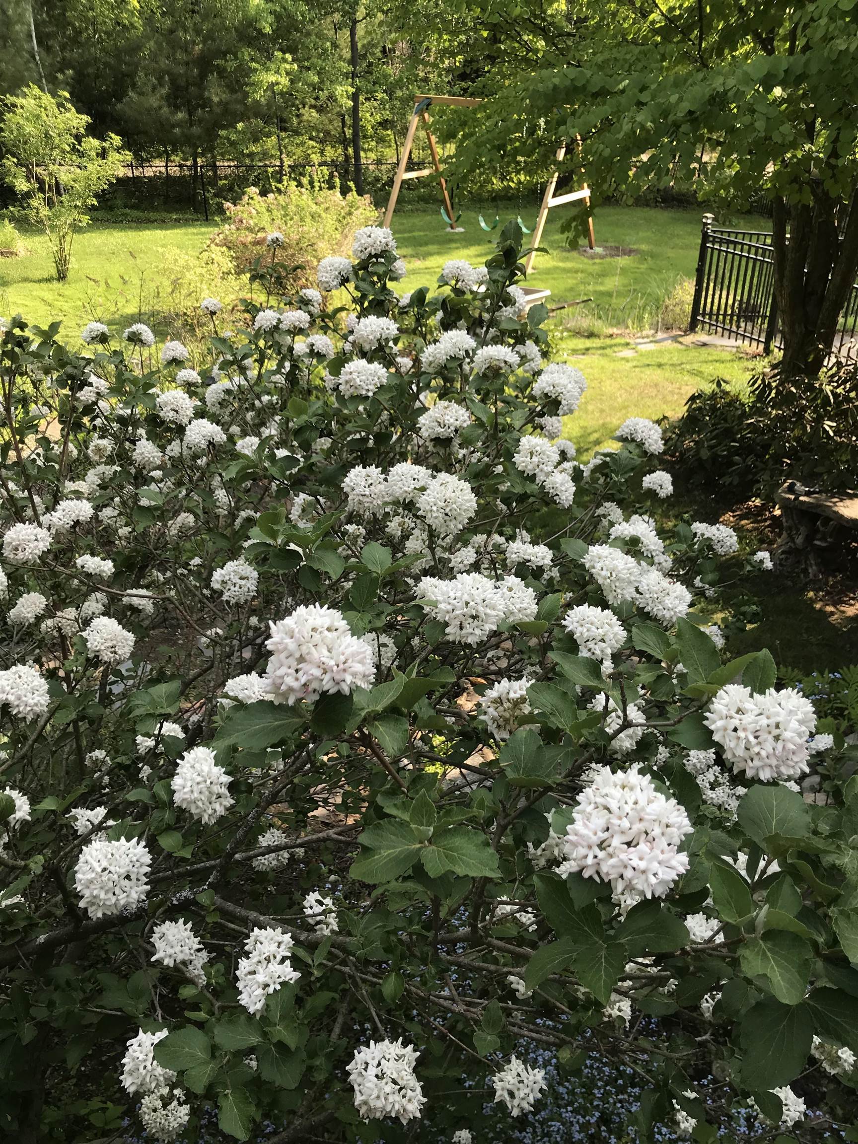 147 Ham Woods Road Alton, NH 03809 - Photo 52 of 60