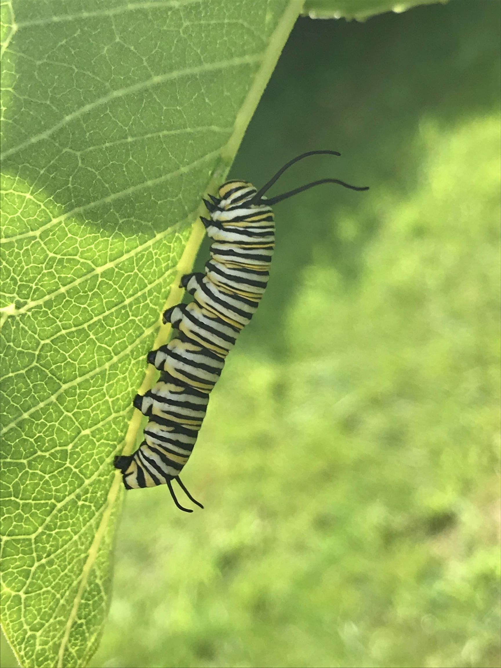 147 Ham Woods Road Alton, NH 03809 - Photo 55 of 60