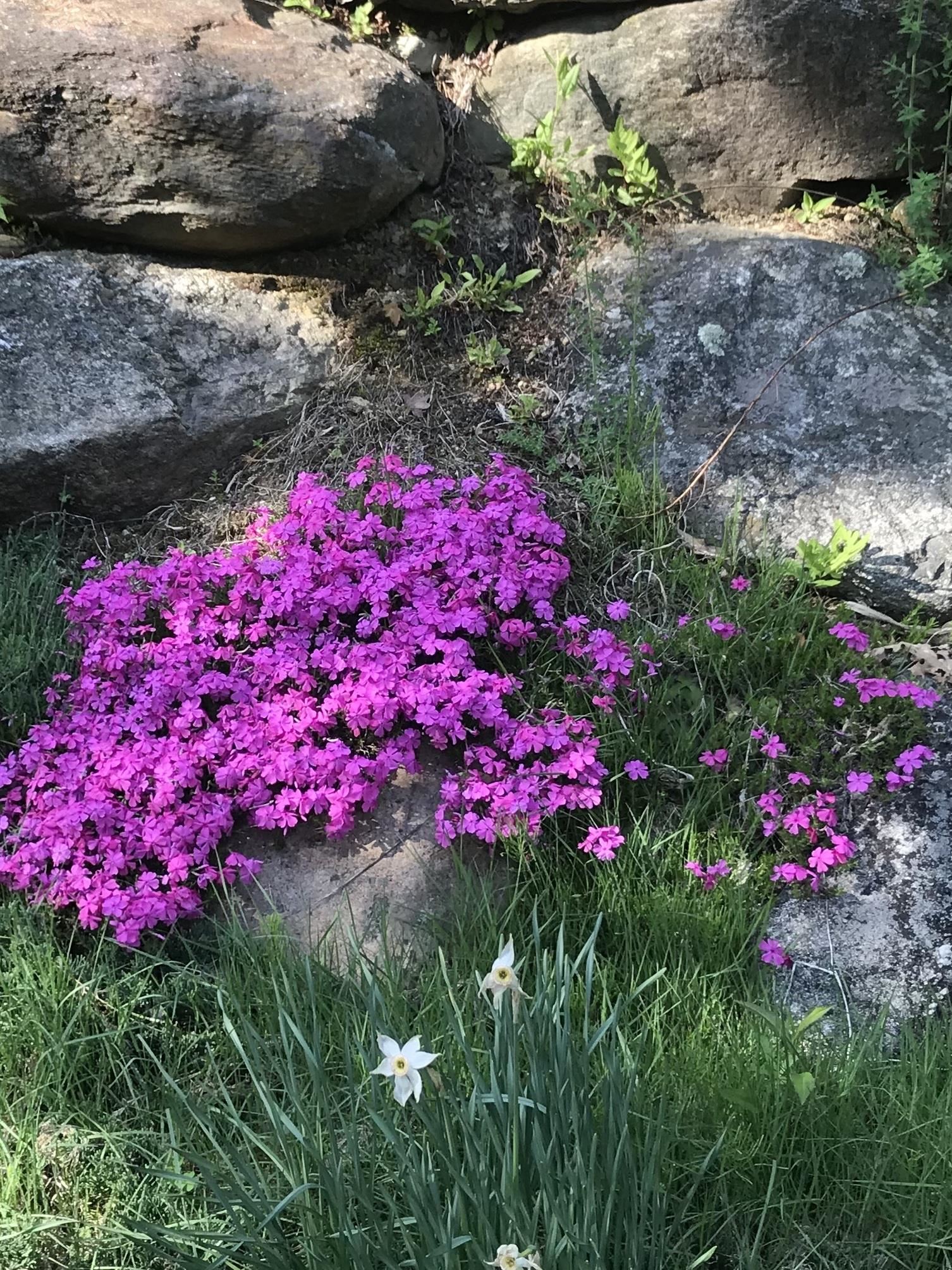 147 Ham Woods Road Alton, NH 03809 - Photo 59 of 60