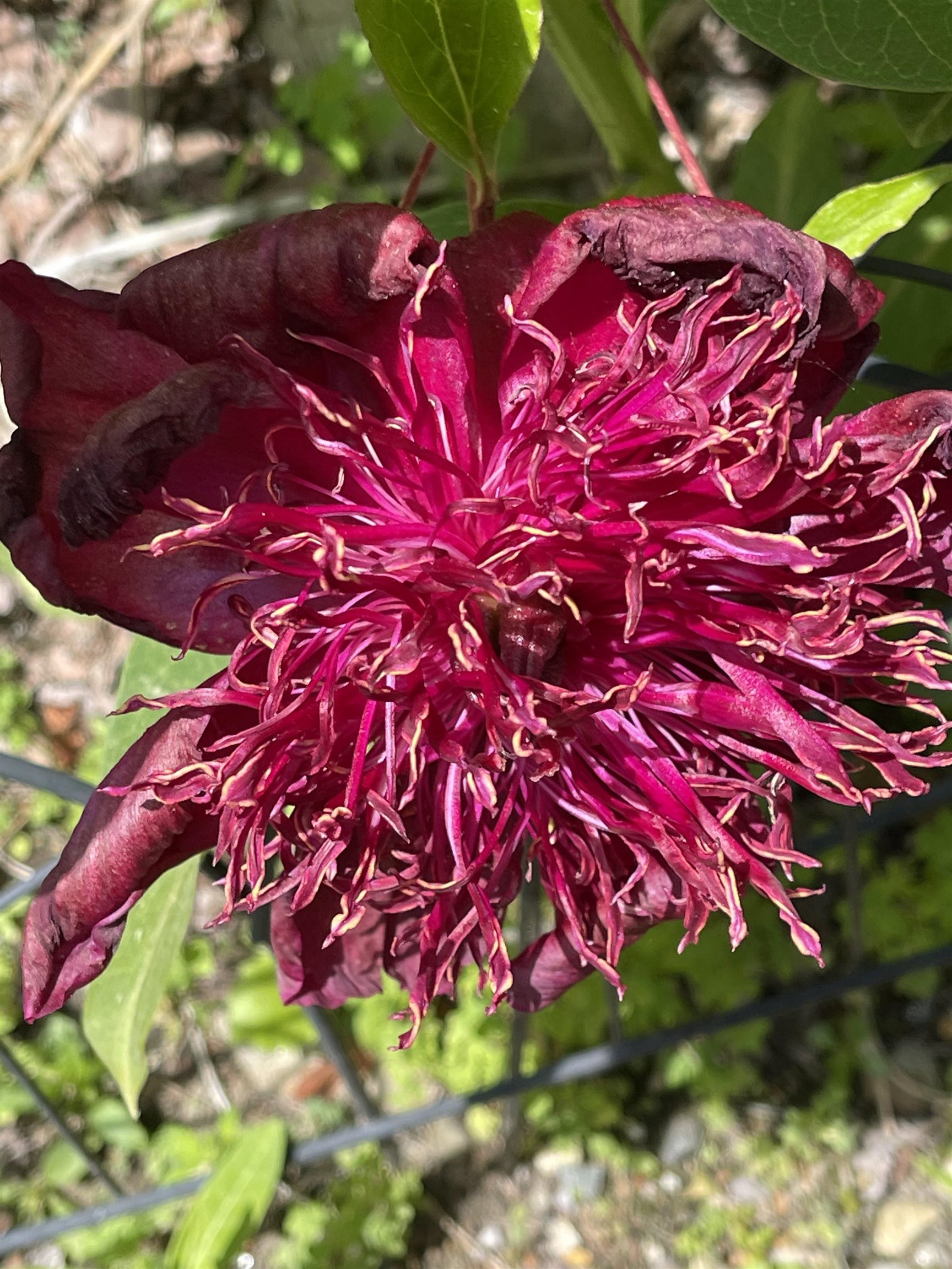 147 Ham Woods Road Alton, NH 03809 - Photo 60 of 60