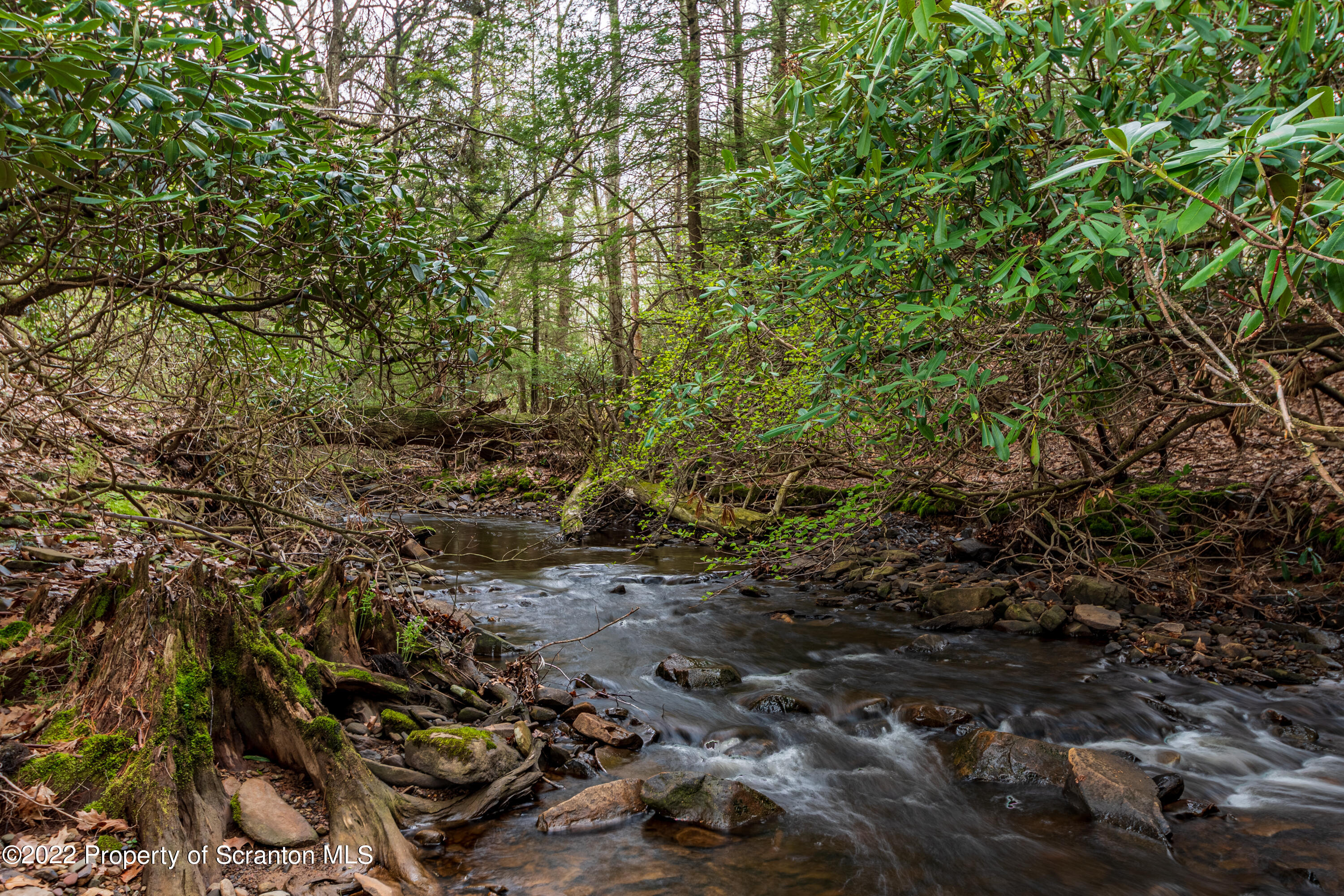 184 Crescent Lake Road Scotrun, PA 18355 - Photo 11 of 38 a view of a forest with lots of trees