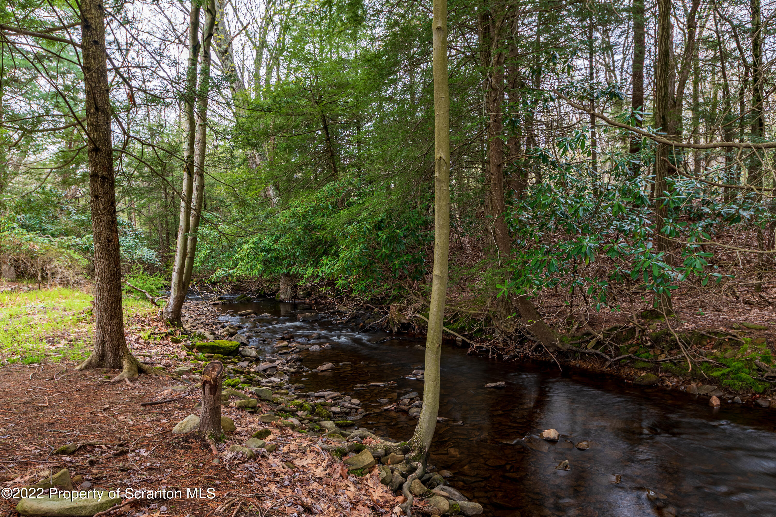 184 Crescent Lake Road Scotrun, PA 18355 - Photo 9 of 38 a view of a forest filled with trees