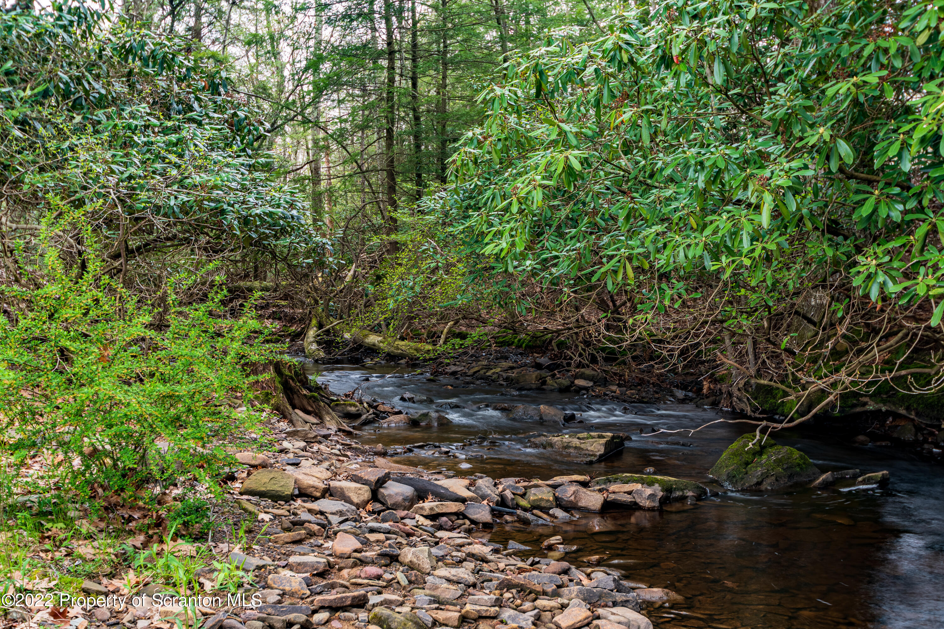 184 Crescent Lake Road Scotrun, PA 18355 - Photo 10 of 38 a backyard of a house with lots of green space and trees