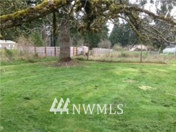810 Elma McCleary Road McCleary, WA 98557 - Photo 3 of 15 Gallery Image 3