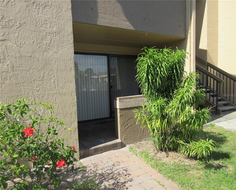 a plant is in front of a door