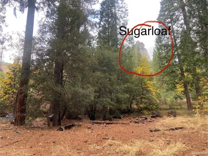 a sign that is sitting on a rock