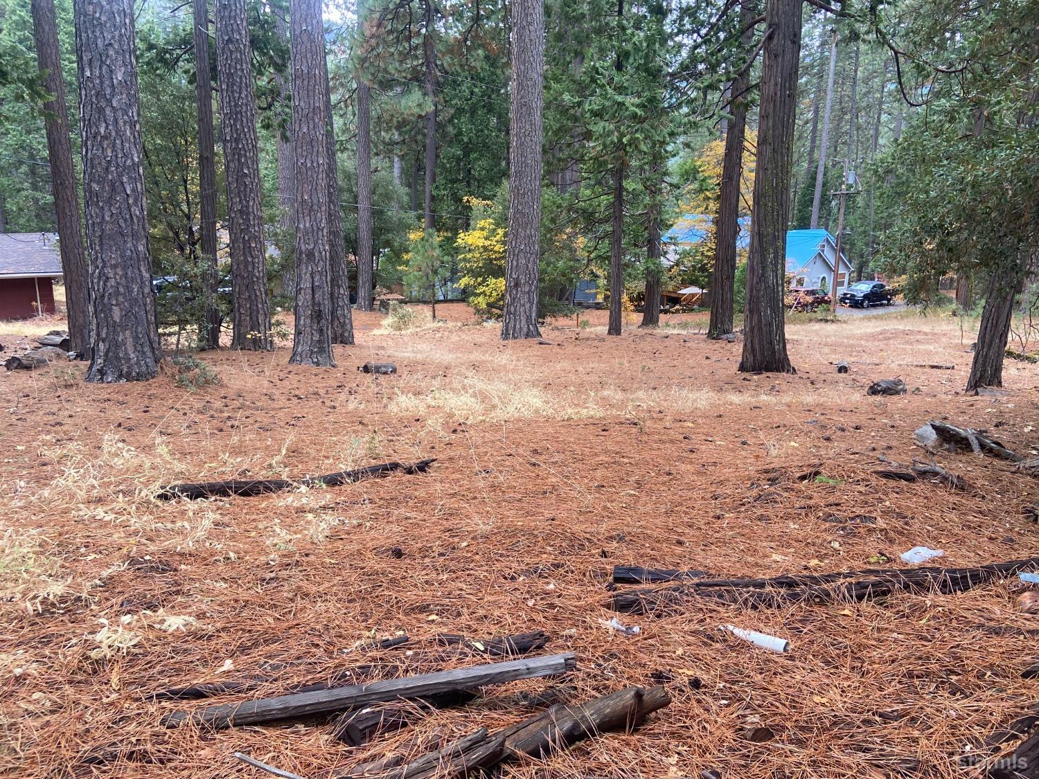 0 Pickwick Street Kyburz, CA 95720 - Photo 6 of 8 a view of outdoor space with trees