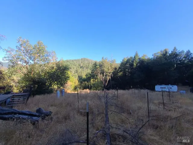 a view of backyard of house