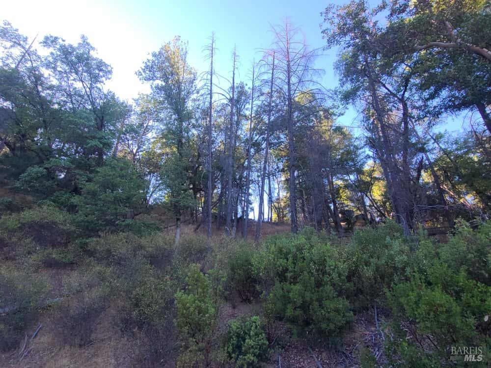 28990 Eel River Ranch Road Covelo, CA 95428 - Photo 20 of 31 a view of a trees in a yard