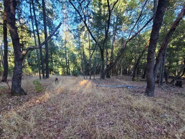 $99,000 | 28990 Eel River Ranch Road, Covelo, CA 95428