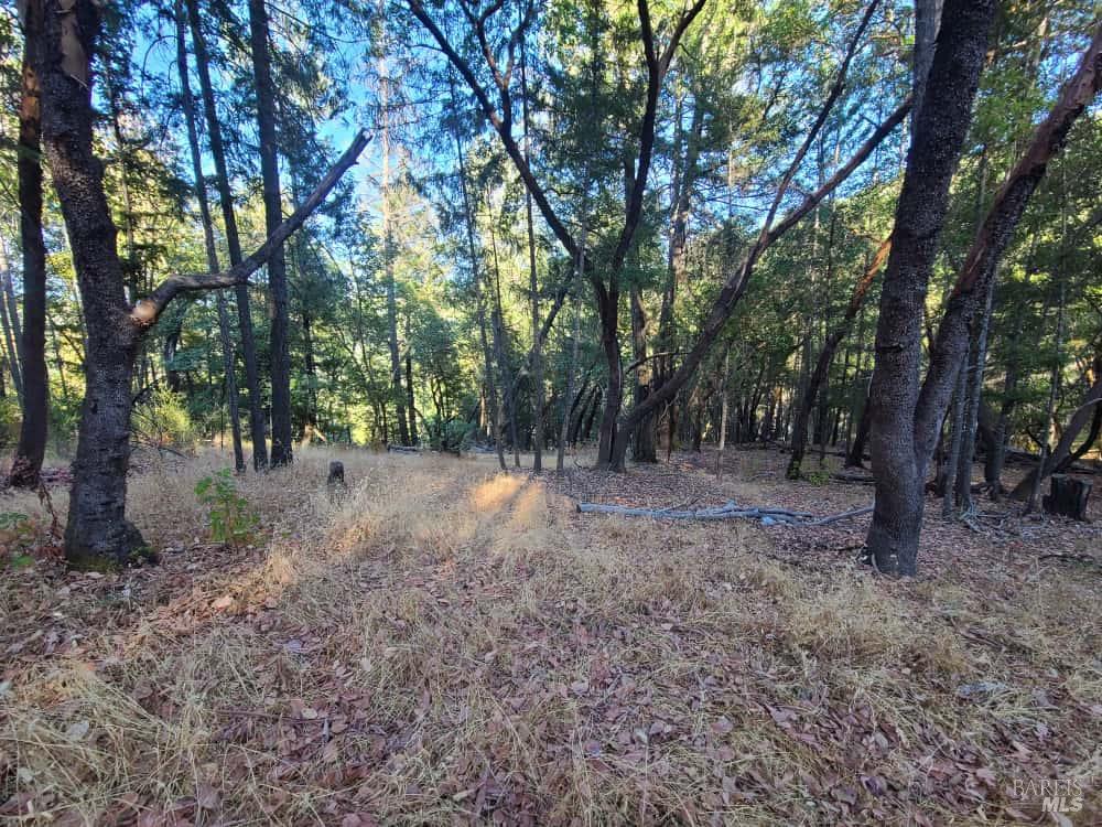 28990 Eel River Ranch Road Covelo, CA 95428 - Photo 29 of 31 a view of outdoor space and tree