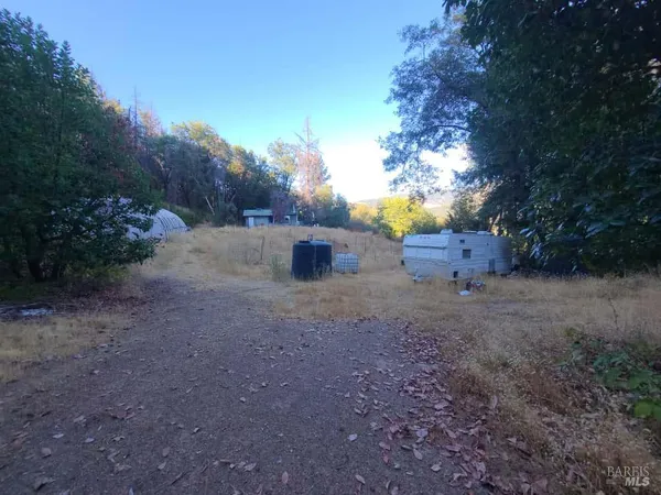 a view of a yard with tree s