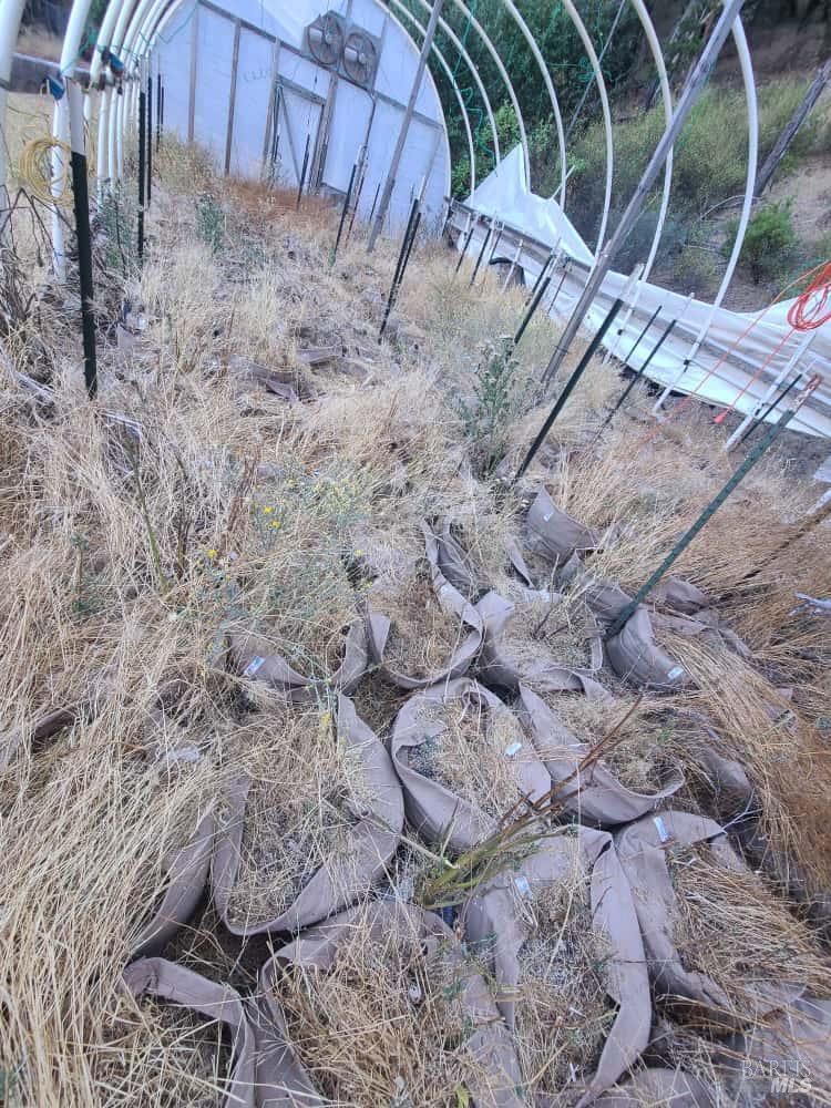 28990 Eel River Ranch Road Covelo, CA 95428 - Photo 4 of 31 a view of a backyard with plants