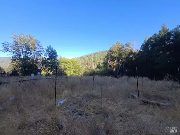 a view of a yard