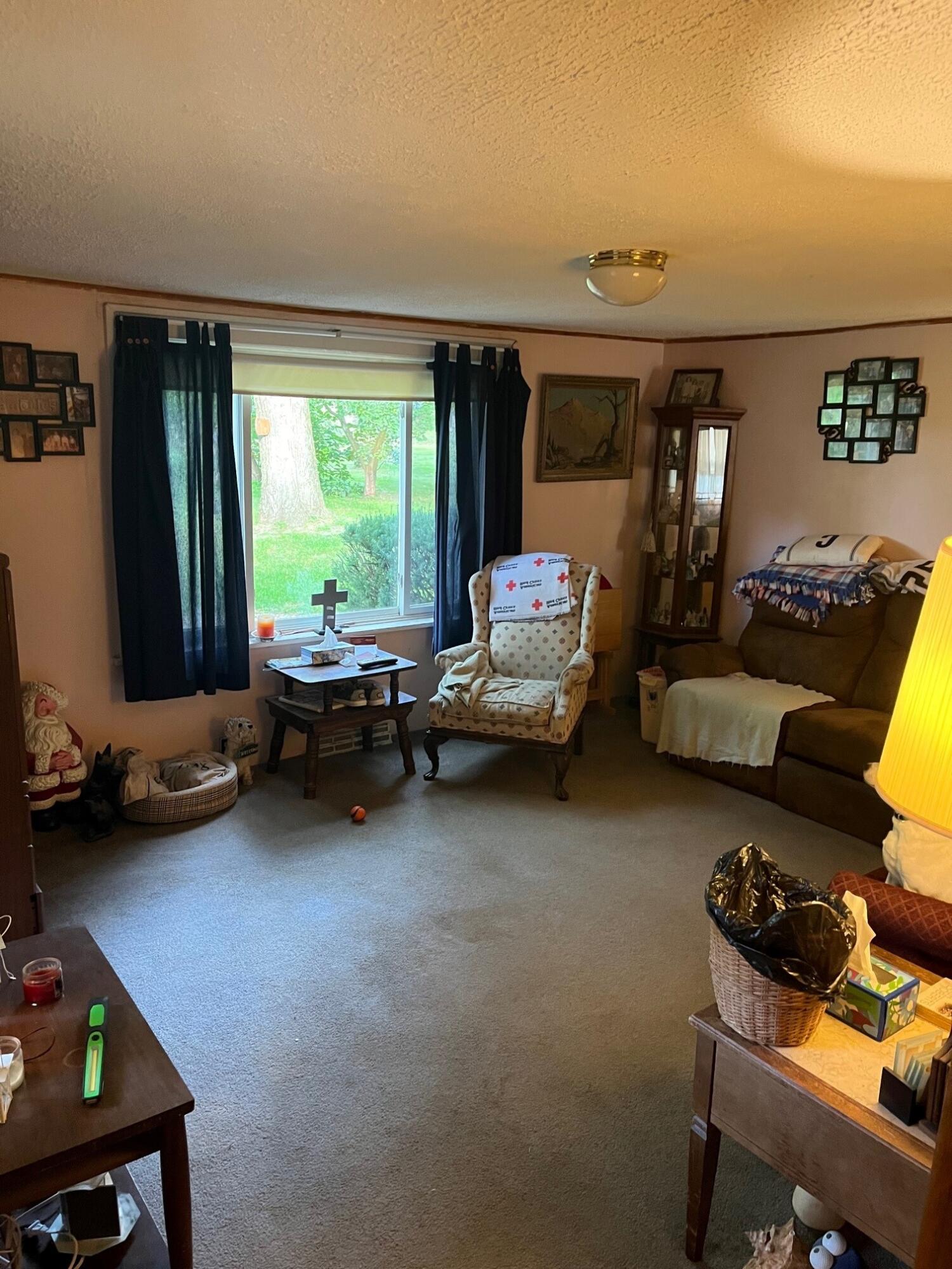9545 Gates Road Clarklake, MI 49234 - Photo 9 of 21 16