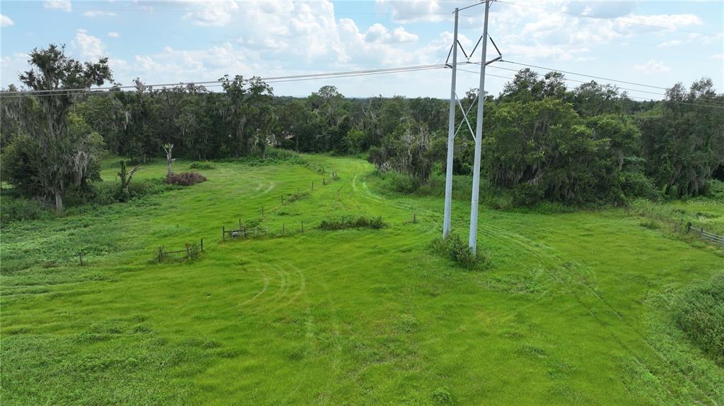 Brannen Road South Lakeland, FL 33813 - Photo 5 of 24