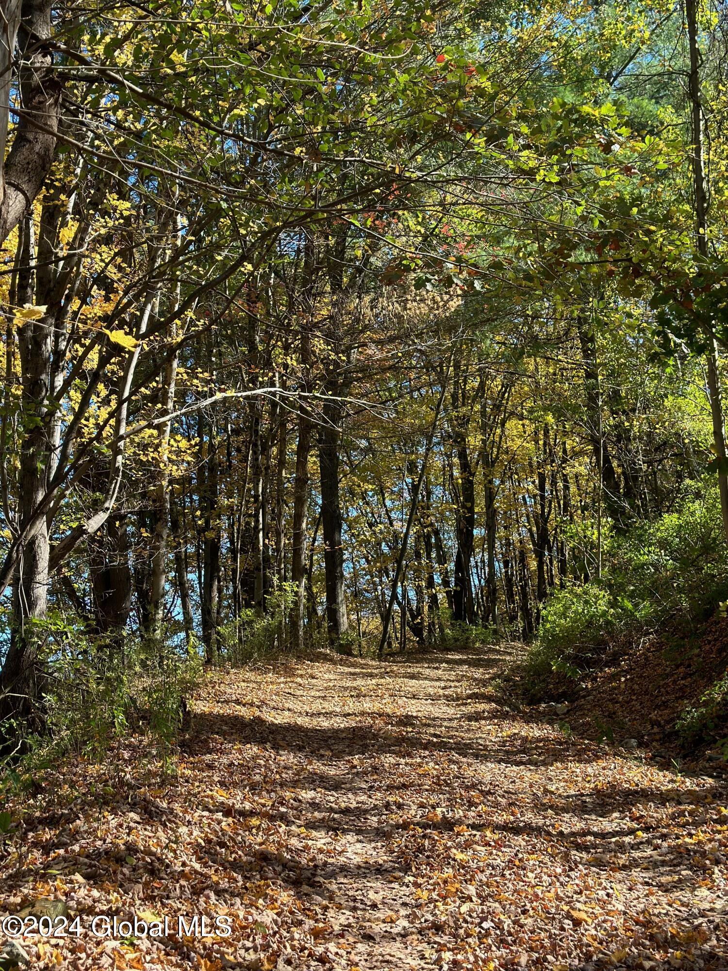 262 Ashgrove Road White Creek, NY 12057 - Photo 65 of 65 5