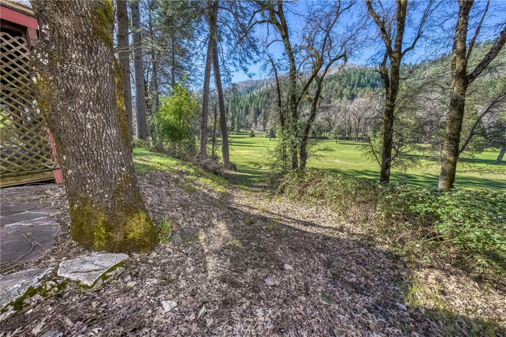 16345 Tee Road Cobb, CA 95426 - Photo 29 of 35 Gallery Image 29