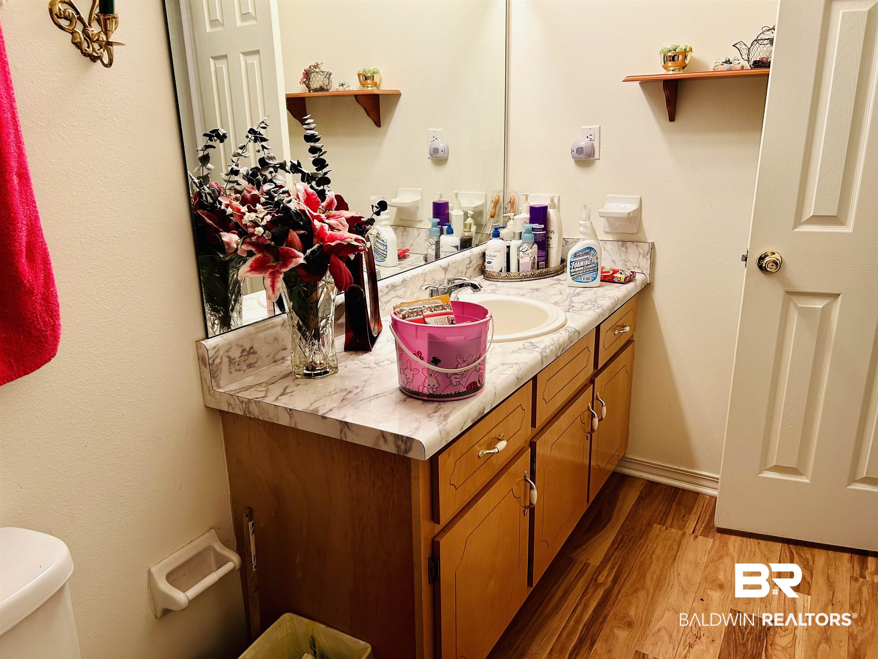 13551 Gaston Loop Road Grand Bay, AL 36541 - Photo 4 of 15 Bathroom featuring hardwood / wood-style floors, vanity, and toilet