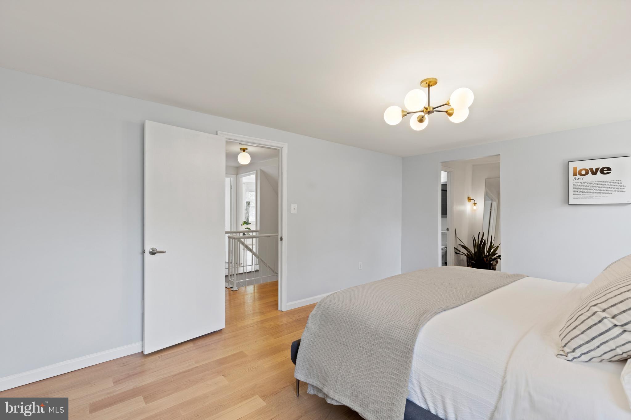 2821 Blue Spruce Lane Silver Spring, MD 20906 - Photo 20 of 45 Roomy Master Bedroom Suite!