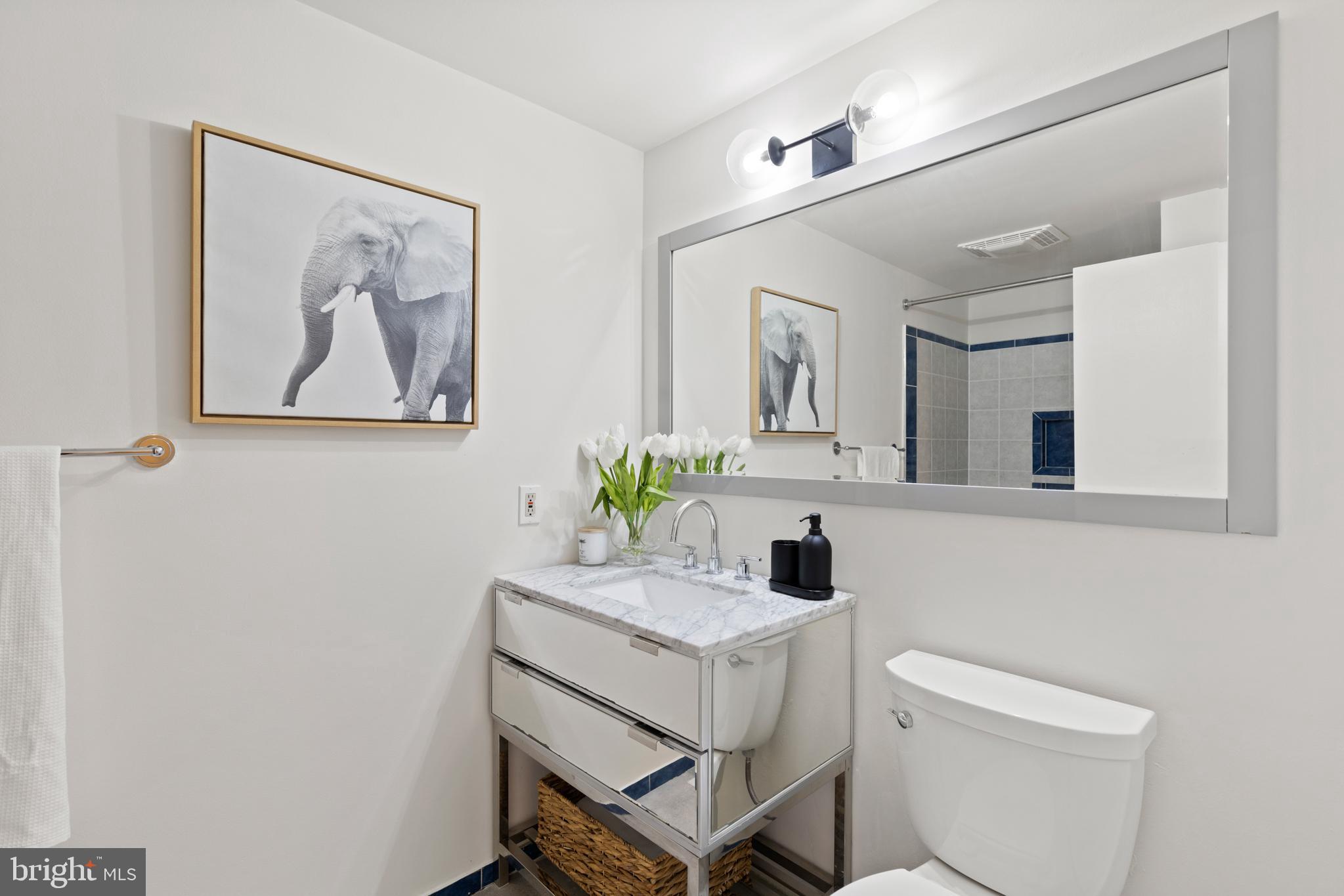 2821 Blue Spruce Lane Silver Spring, MD 20906 - Photo 23 of 45 Renovated MBR Bath!