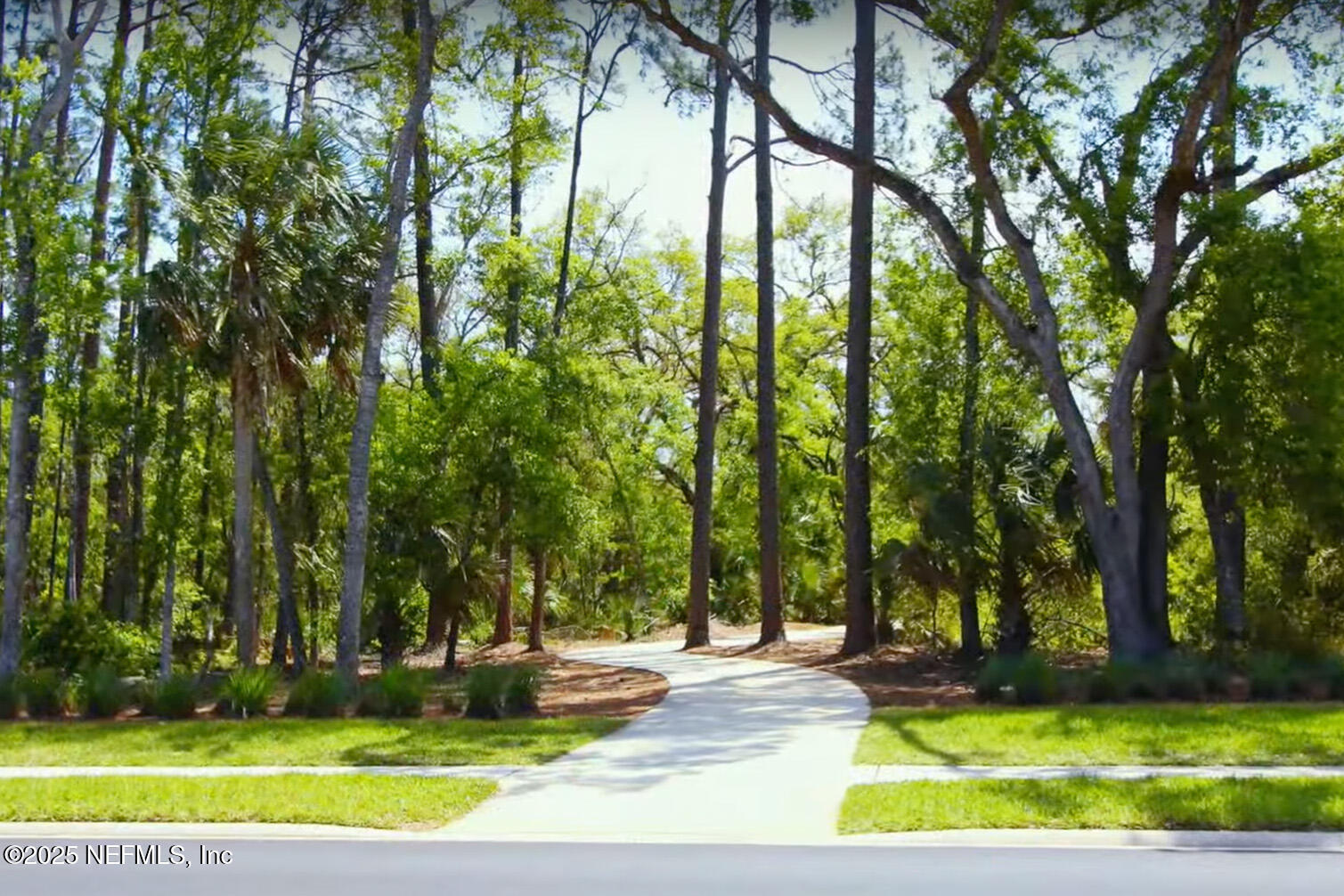 154 Parkbluff Circle Ponte Vedra, FL 32081 - Photo 36 of 53 TM Trail