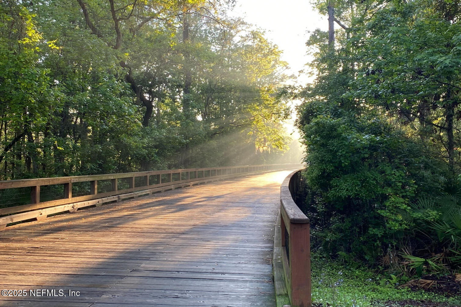 154 Parkbluff Circle Ponte Vedra, FL 32081 - Photo 49 of 53 Golf Cart Trail