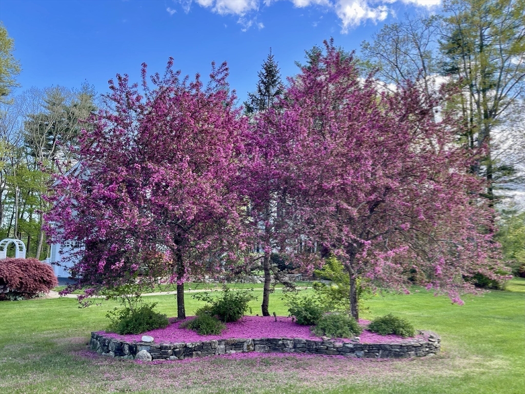 2 Sandstone Lane Millis, MA 02054 - Photo 41 of 42