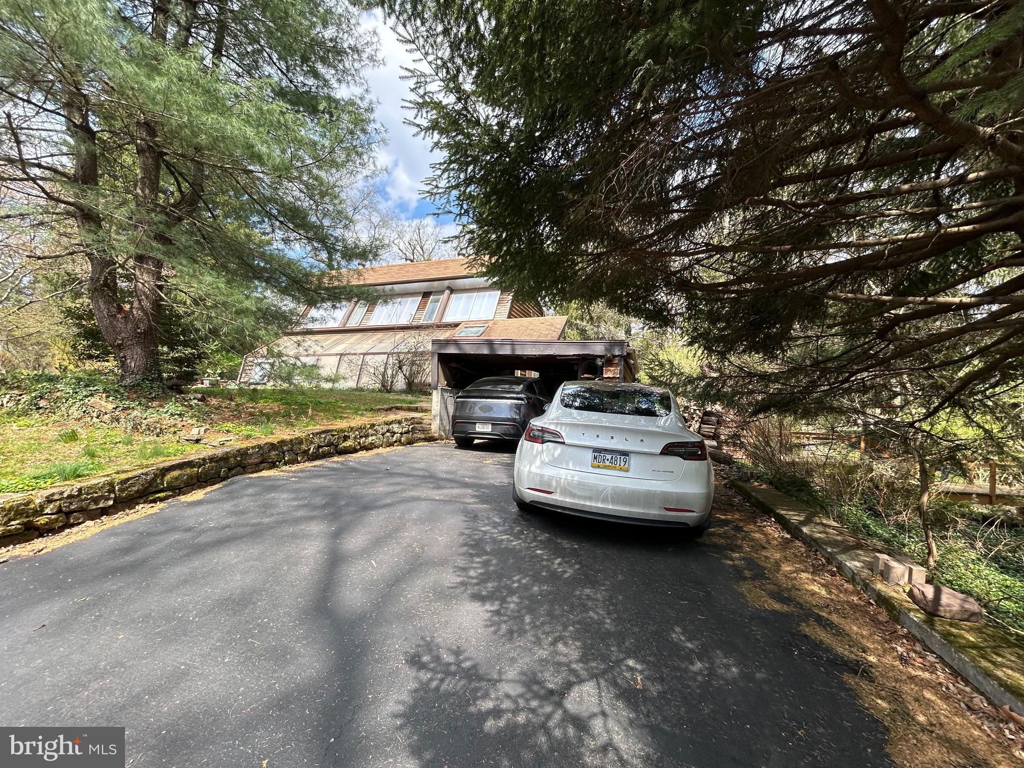 8204 Brookside Road Elkins Park, PA 19027 - Photo 20 of 20 a view of a yard with large tree