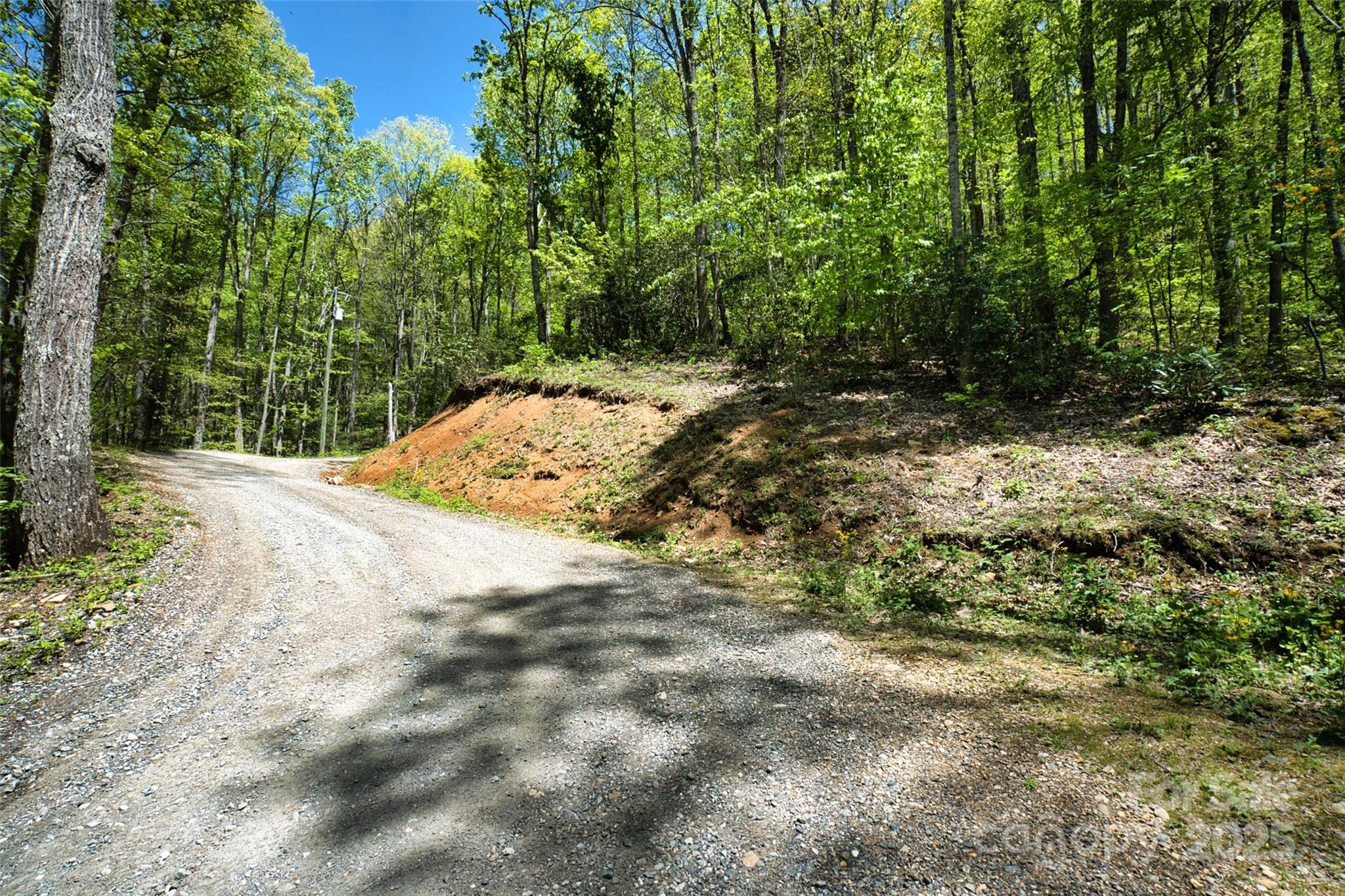 99999 Anderson Cove Road Barnardsville, NC 28709 - Photo 18 of 36