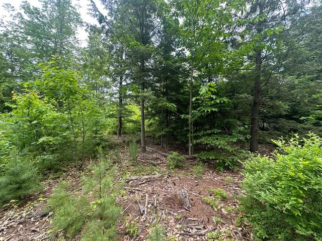 $399,900 | Lot A Butler Road, North Berwick, ME 03906