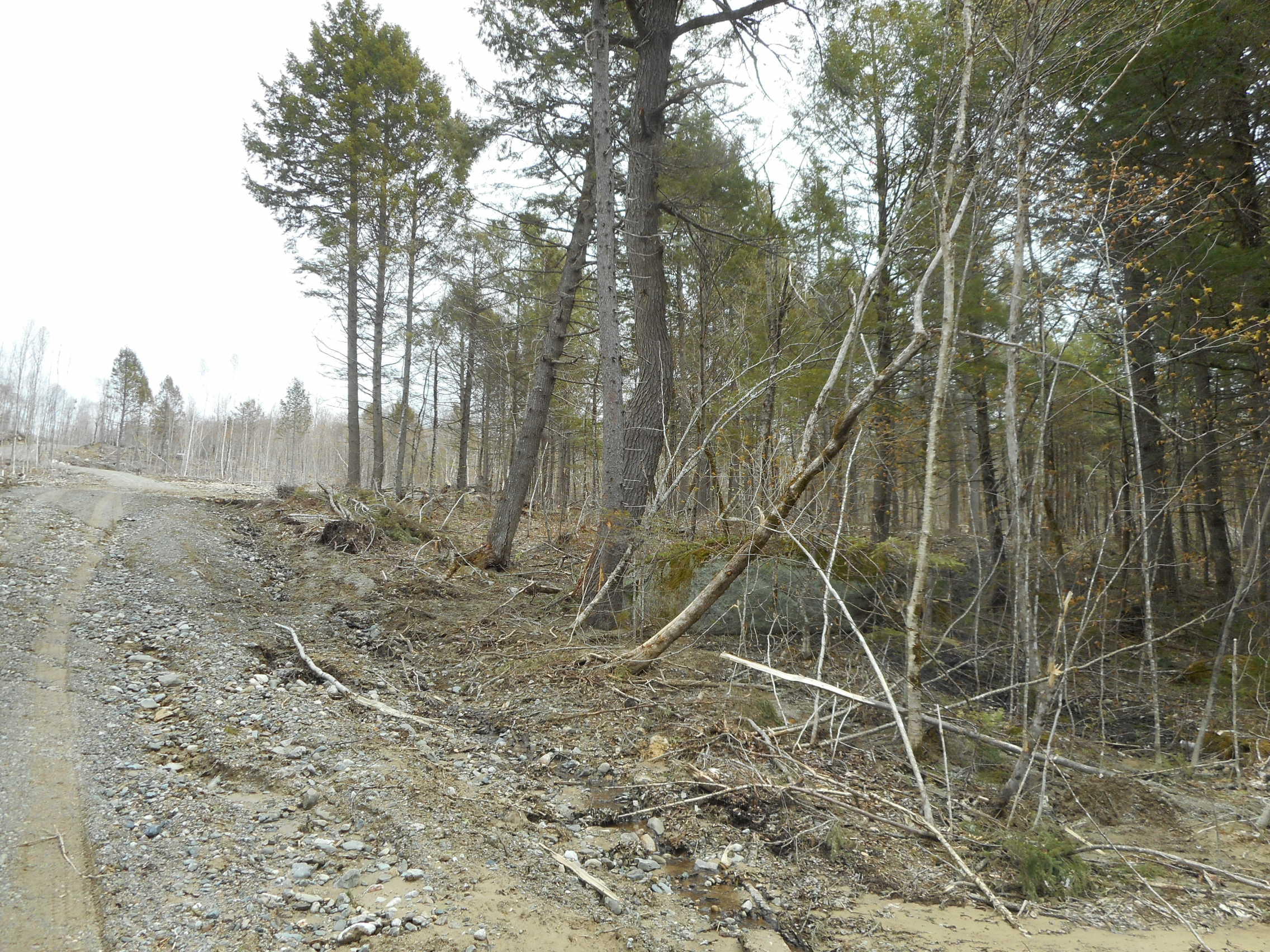 33-acres Upper Pug Road Lakeville, ME 04487 - Photo 10 of 13 DSCN2079