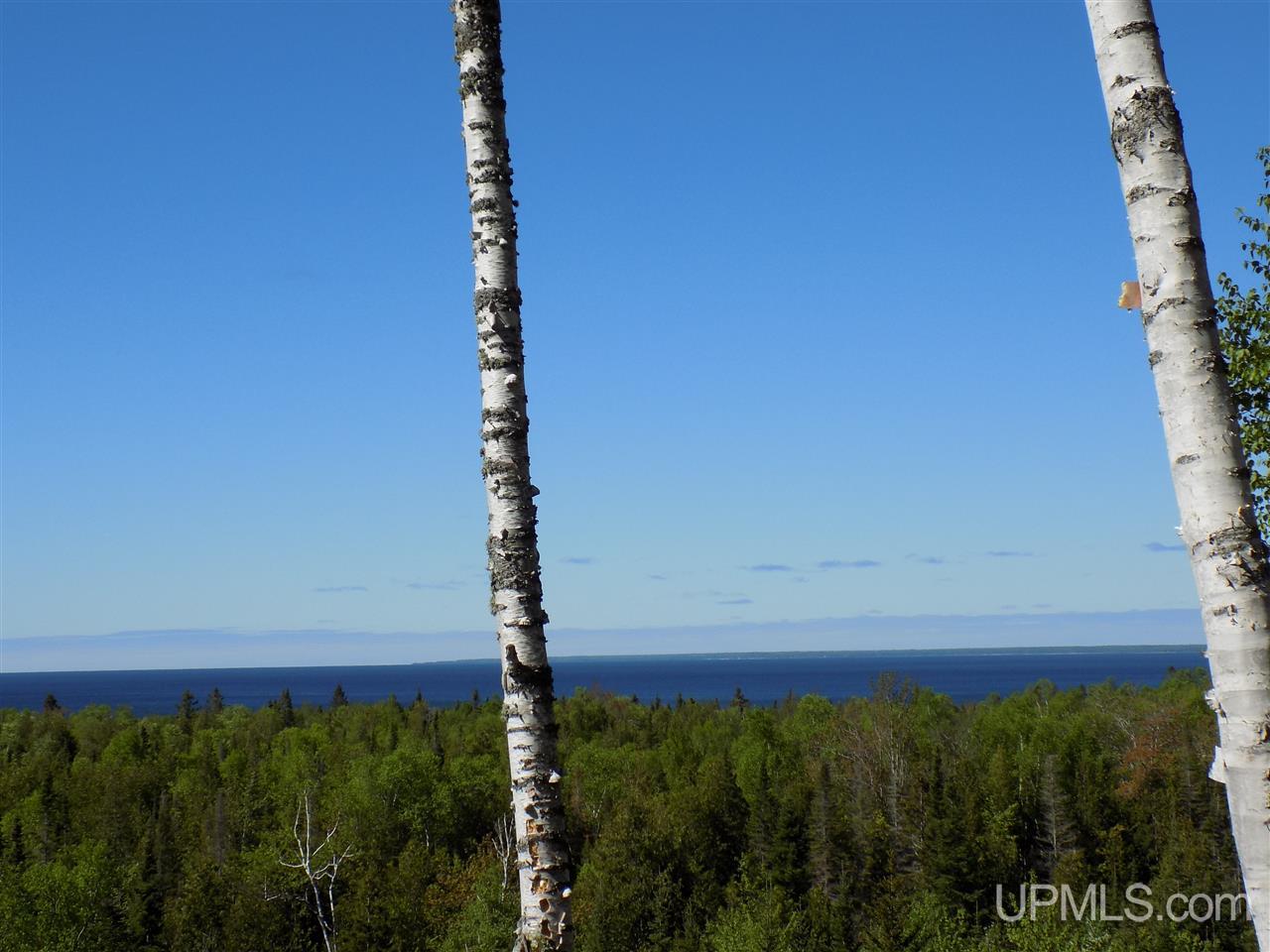Tbd Northshore Bluffs Road, Unit 4 Manistique, MI 49854 - Photo 14 of 21